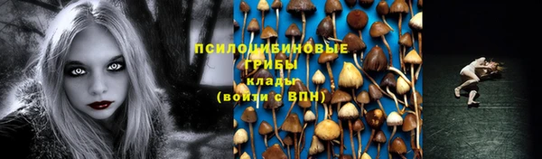 каннабис Белокуриха