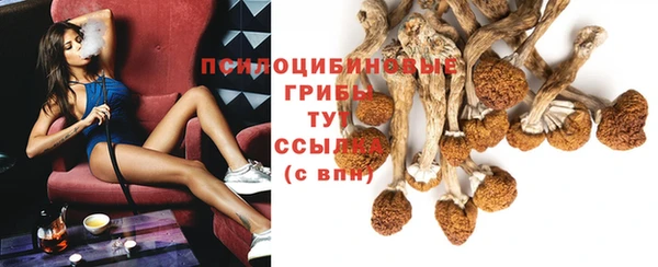 Альфа ПВП Беломорск
